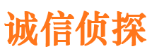 嘉陵调查事务所